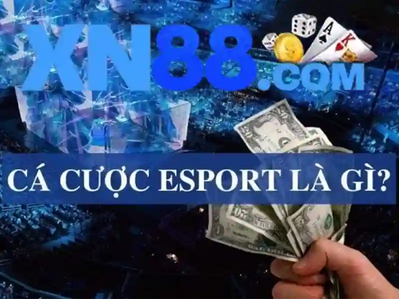 Lịch sử và uy tín của xn88