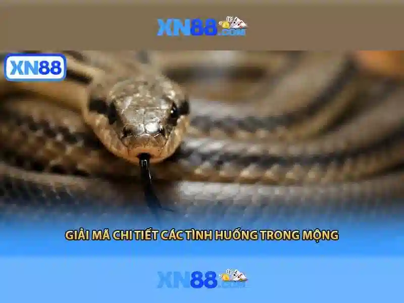 Lời kết và khuyến nghị Lời kết và khuyến nghị