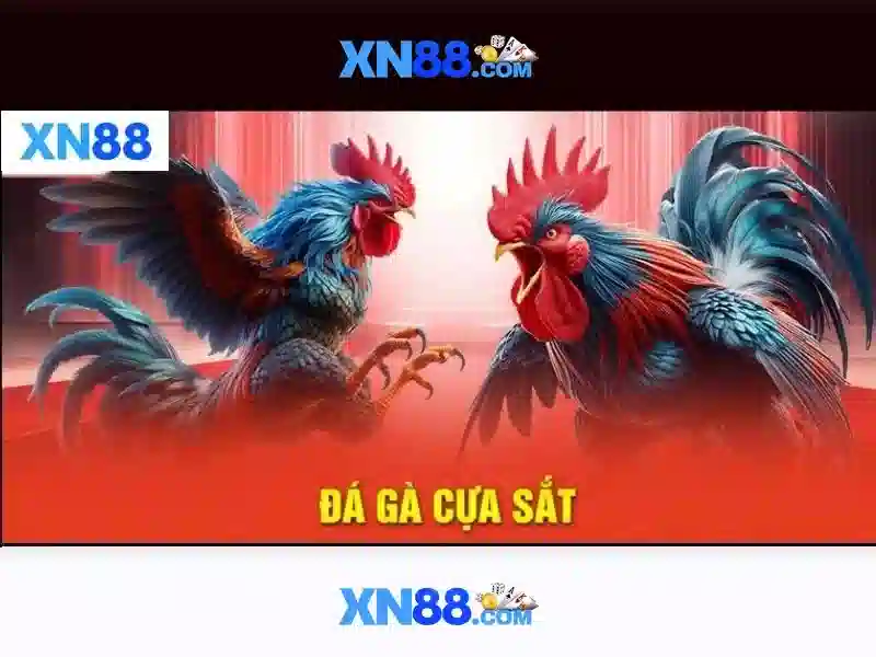 Kết luận và khuyến nghị