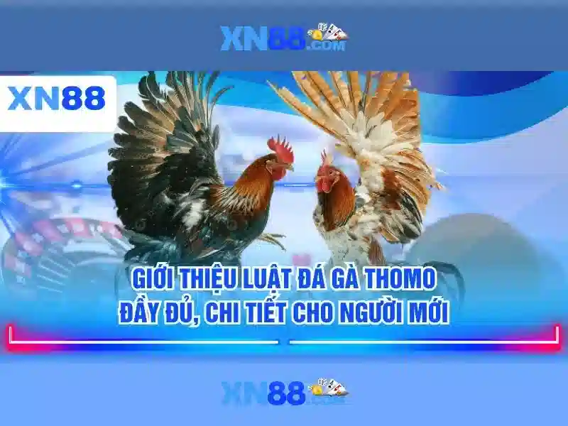 Nguồn gốc của tải xn88 và sứ mệnh