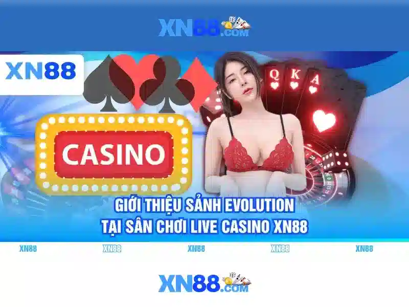 Chức năng chính của XN88 Chức năng chính của XN88