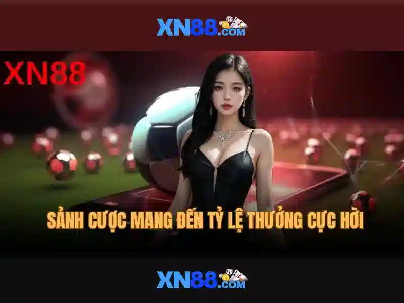 Cài đặt và trải nghiệm người dùng