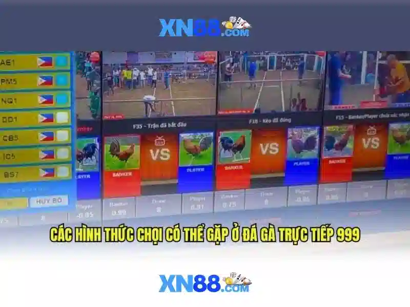 XN88 là gì và vì sao người chơi Việt quan tâm