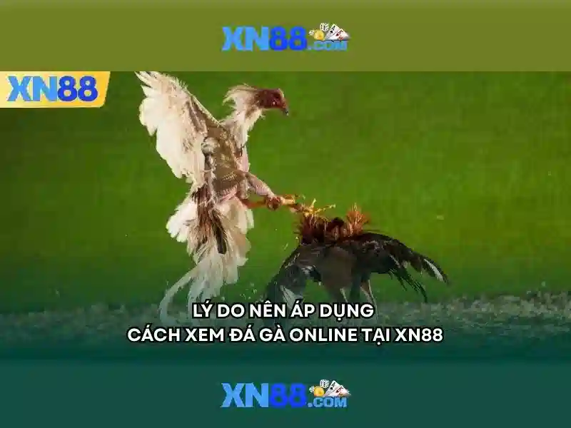 Dòng sản phẩm và dịch vụ