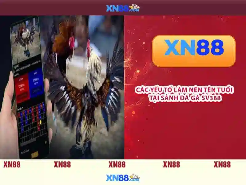 Nguồn gốc và sứ mệnh của xn88'