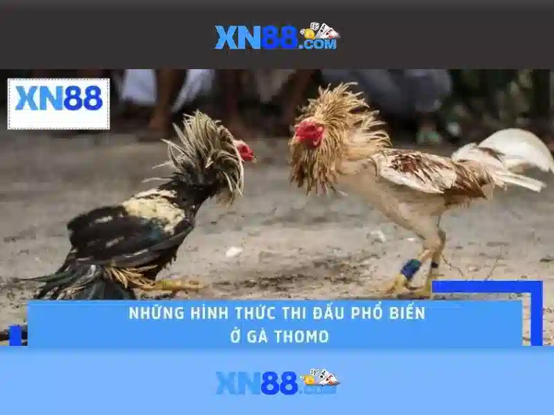Việt Vị Trong Bóng Đá