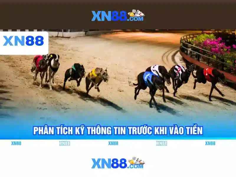 app xn88 – Tổng quan chủ đề và giá trị cốt lõi