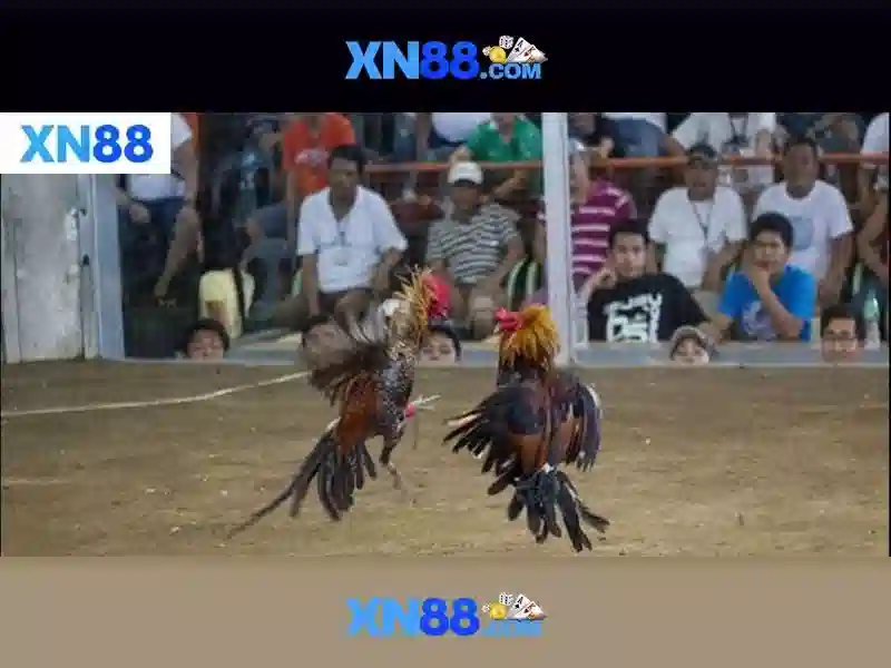 2. Nguồn gốc và sứ mệnh