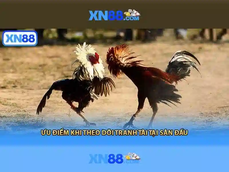 Việt Vị Trong Bóng Đá