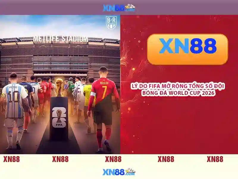 <!--IMG_PLACEHOLDER alt>Trải nghiệm người dùng và phản hồi cộng đồng-->