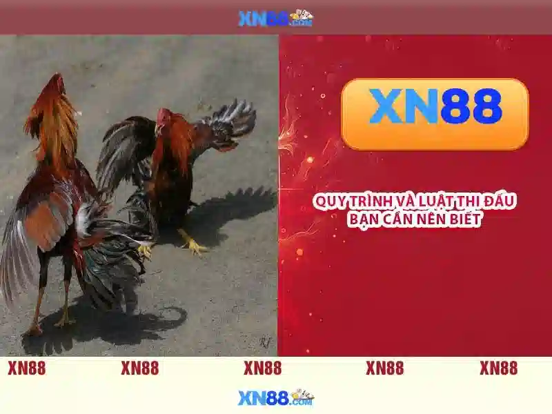 Việt Vị Trong Bóng Đá