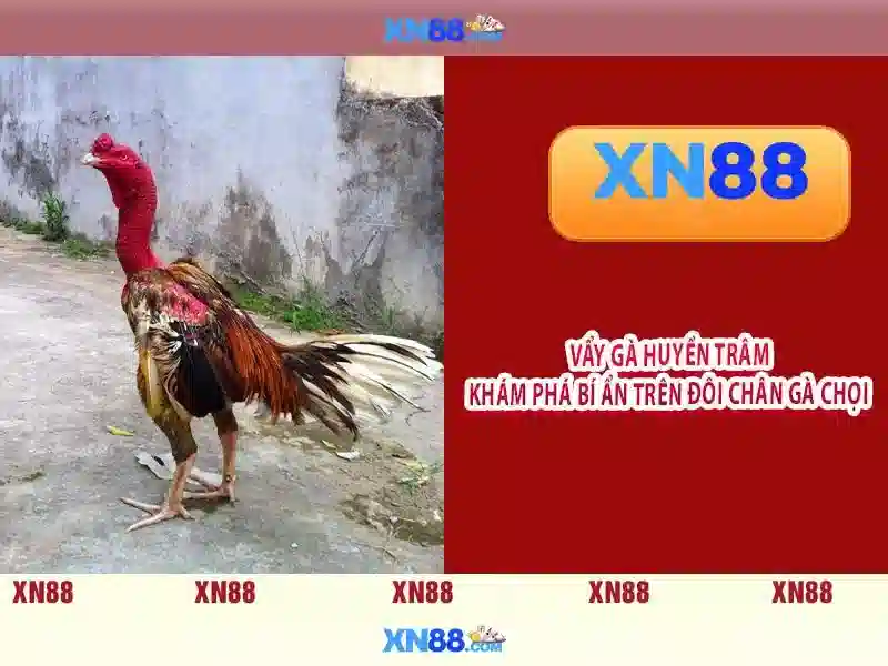 Việt Vị Trong Bóng Đá