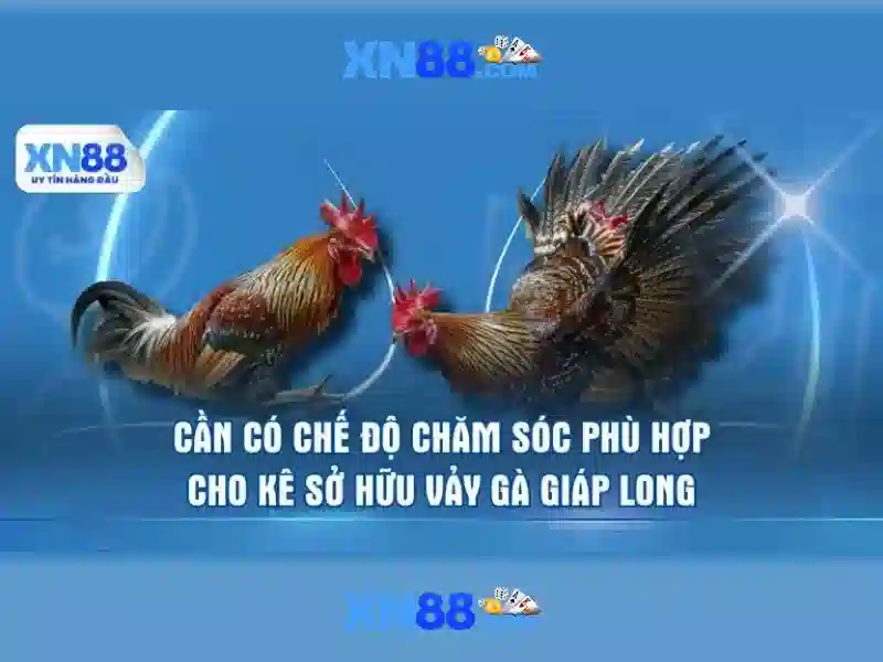 Việt Vị Trong Bóng Đá