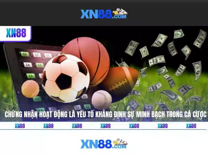 Khuyến mãi và chính sách