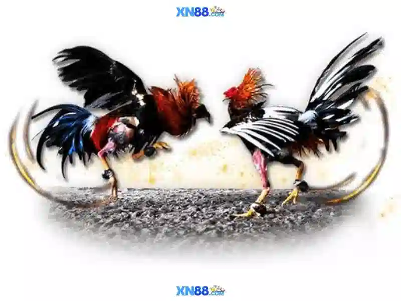 Uy tín, an toàn và bảo mật\n\n Uy tín, an toàn và bảo mật\n\n