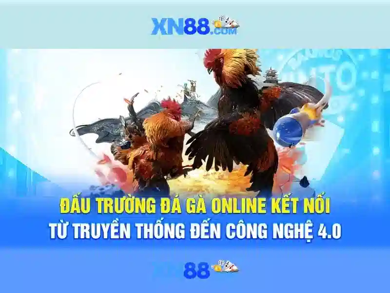 Giới thiệu về xn88