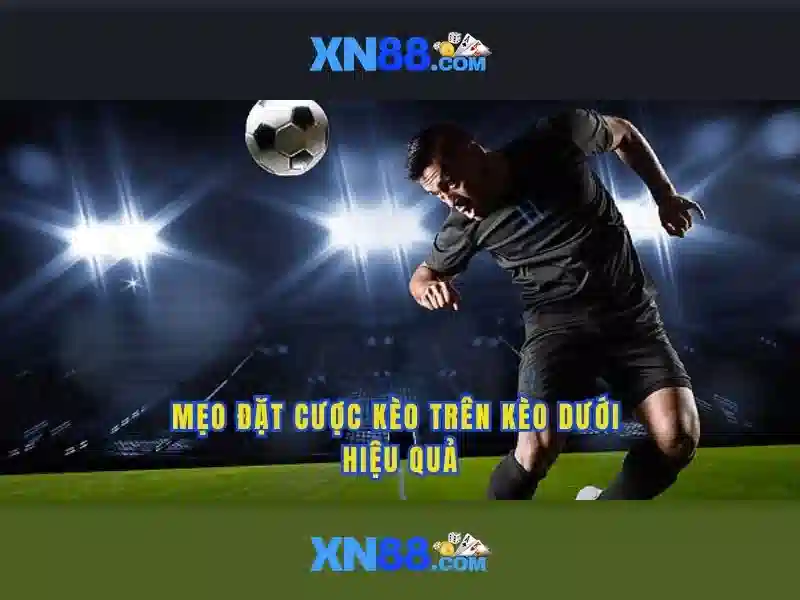 Giới thiệu về xn88 Giới thiệu về xn88
