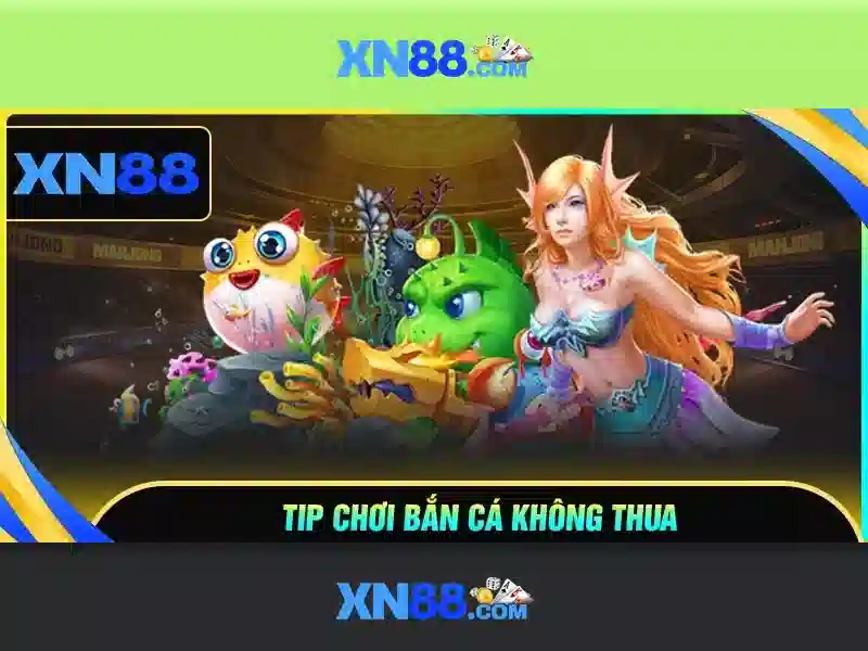 Lịch sử và phát triển