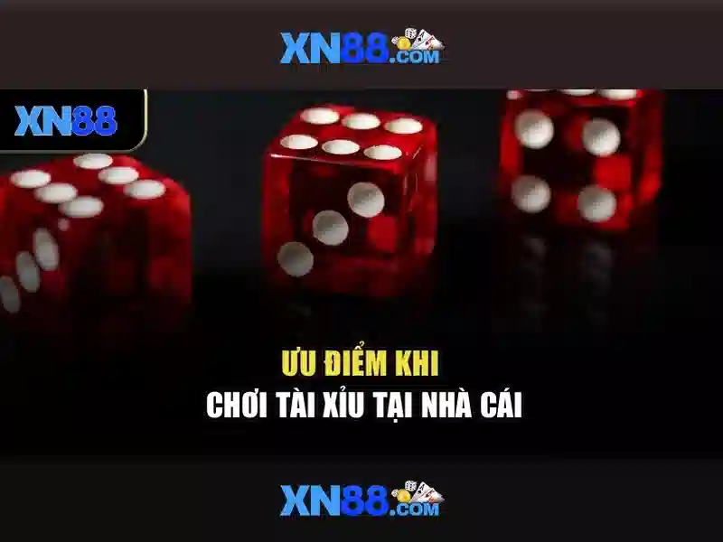 Bull Bull trực tuyến