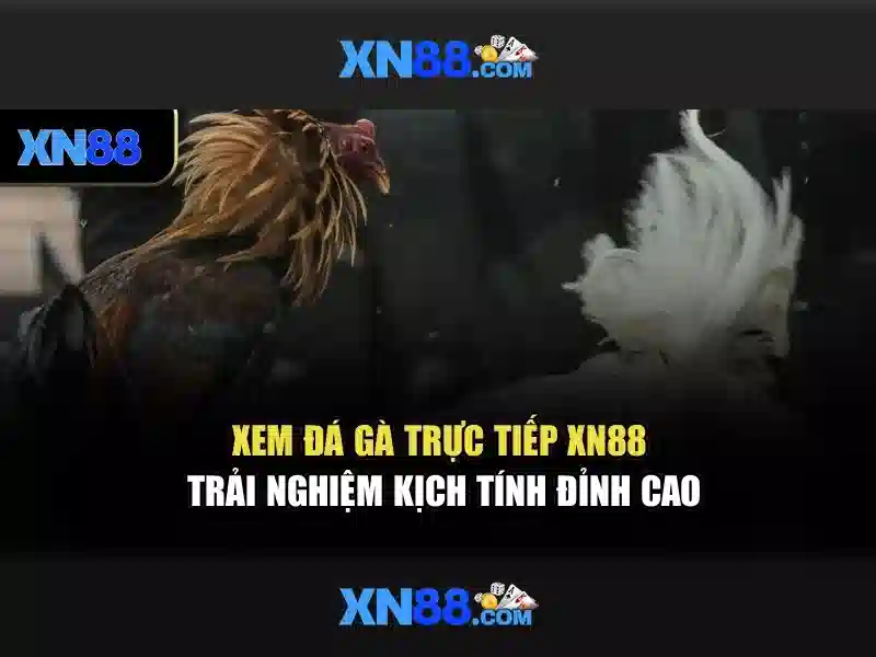 Việt Vị Trong Bóng Đá