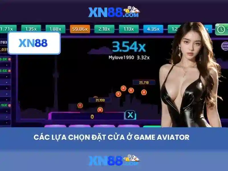 Hỗ trợ khách hàng và chăm sóc người dùng