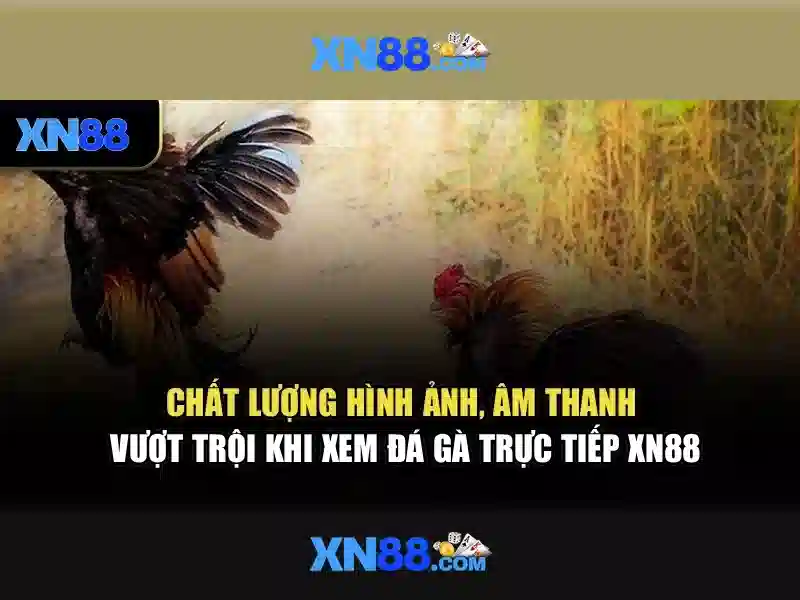 Việt Vị Trong Bóng Đá