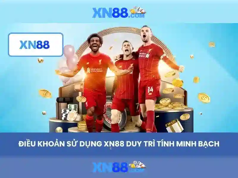 Kết luận