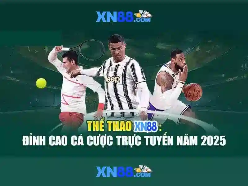 Kết luận về xn88