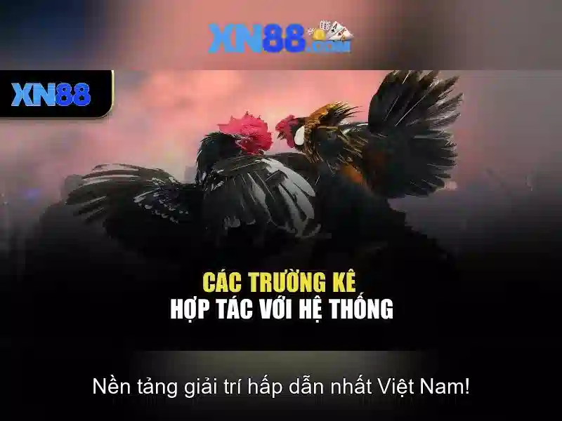 Việt Vị Trong Bóng Đá