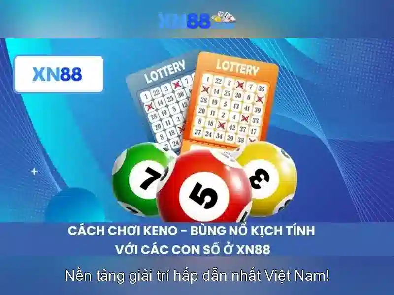 Trải nghiệm người dùng và phản hồi cộng đồng