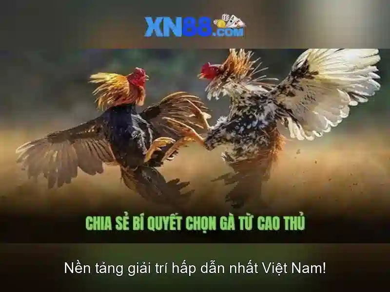 Hỗ trợ và cộng đồng người chơi xn88 Hỗ trợ và cộng đồng người chơi xn88