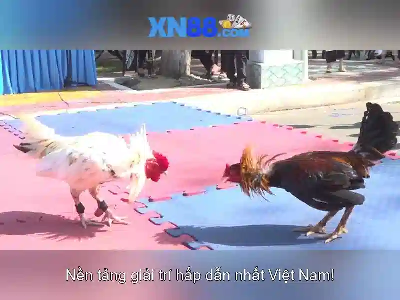 An toàn và bảo mật An toàn và bảo mật