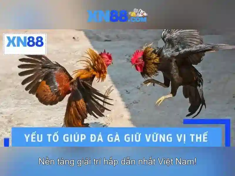 Danh mục trò chơi và chất lượng phát trực tiếp Danh mục trò chơi và chất lượng phát trực tiếp