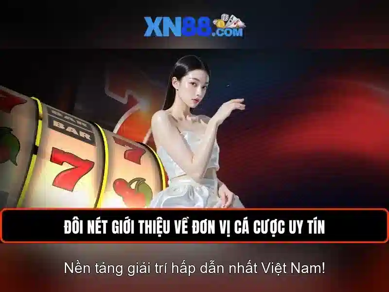 Giao diện người dùng và trải nghiệm