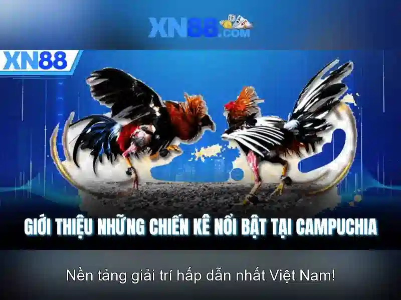 Các sản phẩm và dịch vụ Các sản phẩm và dịch vụ