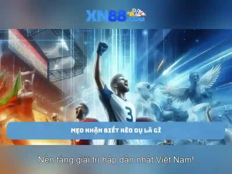 Đánh giá người dùng và rủi ro\n Đánh giá người dùng và rủi ro\n