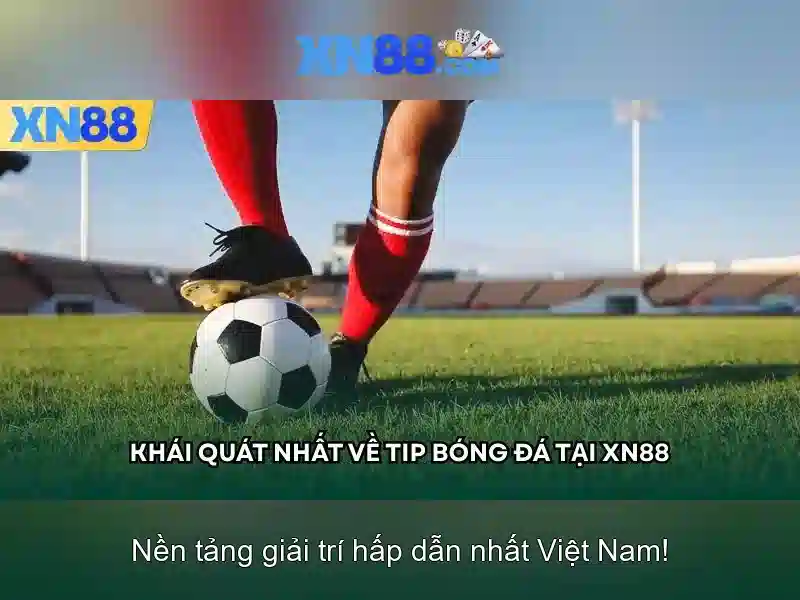 Việt Vị Trong Bóng Đá
