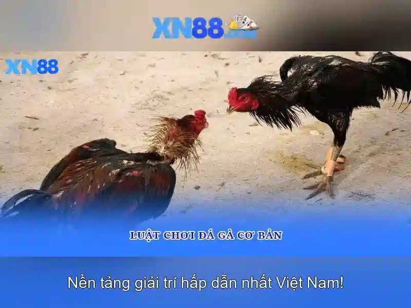Khu vực trò chơi và cược Khu vực trò chơi và cược