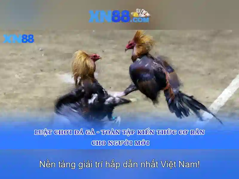 Giới thiệu xn88 Giới thiệu xn88