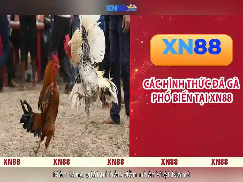 Đặc điểm nổi bật của Xn88 Đặc điểm nổi bật của Xn88