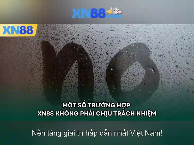 Nền tảng và sản phẩm