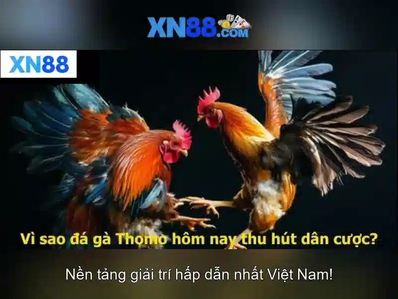 Cách hoạt động của xn88