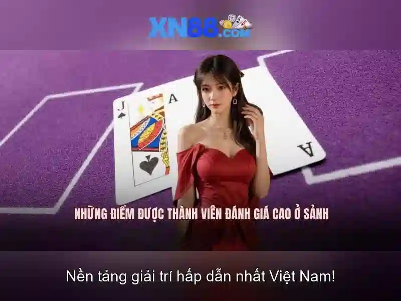 Giao diện người dùng và trải nghiệm