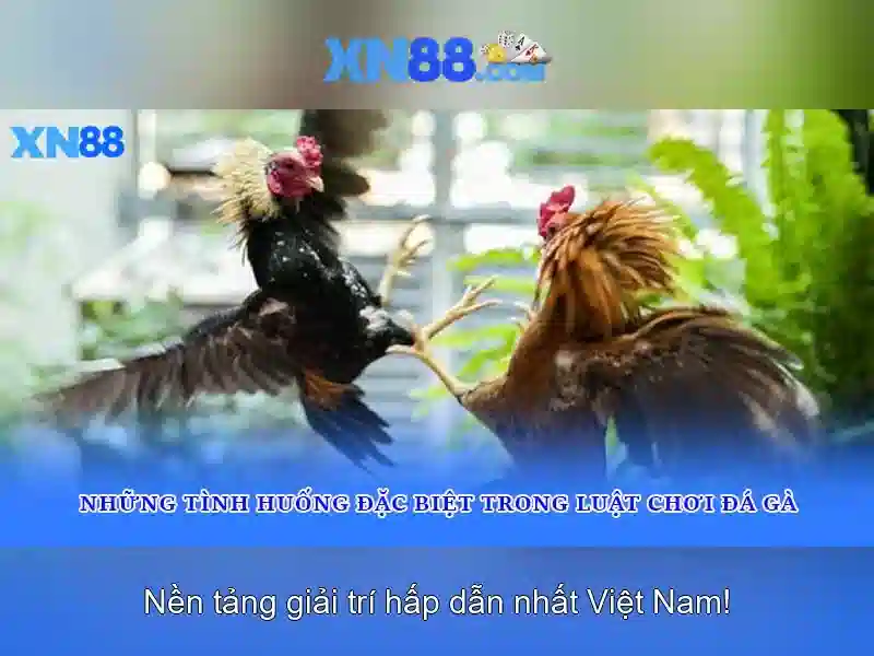 An toàn và bảo mật