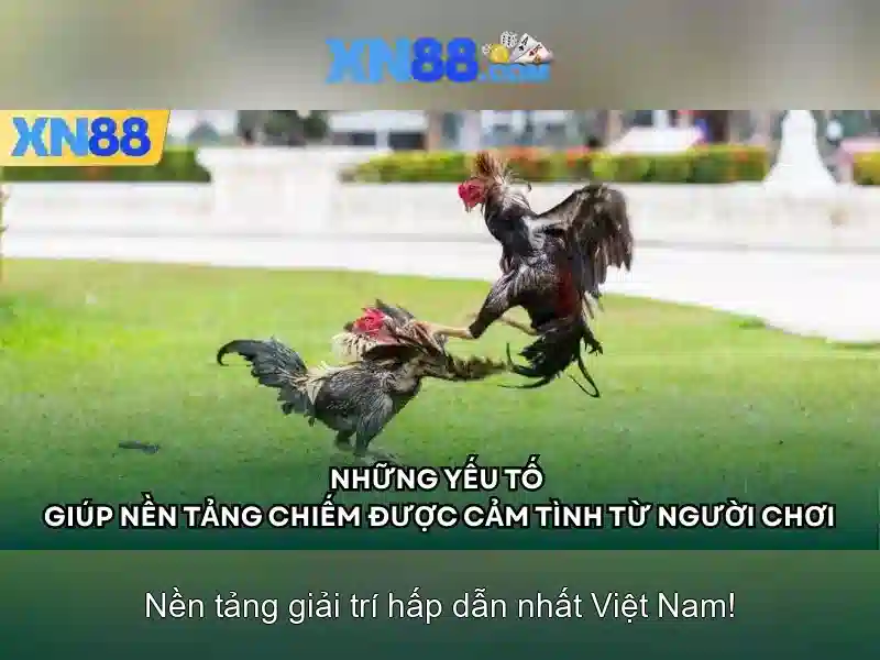 Giới thiệu về xn88