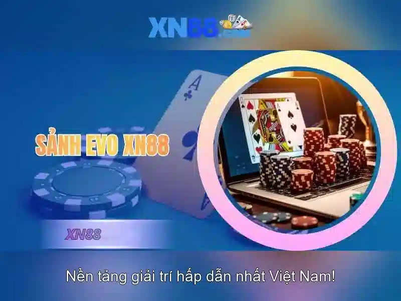 Các tính năng và trải nghiệm người dùng\n