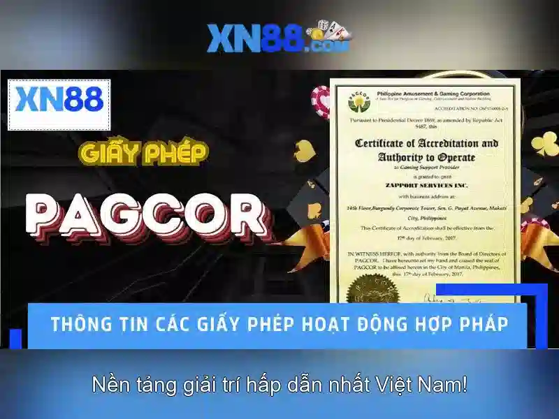 Đánh giá và phản hồi của người dùng\n