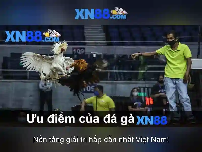Việt Vị Trong Bóng Đá
