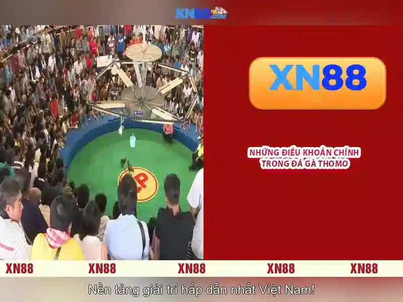 xn88 – Nền tảng trò chơi trực tuyến uy tín\n