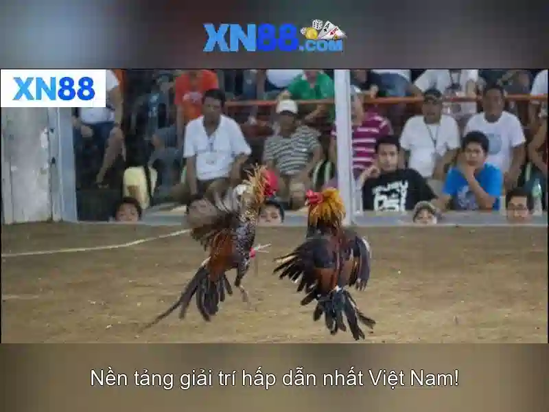 An toàn thông tin tài khoản